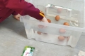 2011-MsBrennan-salt-eggs-float-4