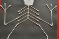 2110-MrCantwell-5th-Cotton-Bud-Skeletons-10