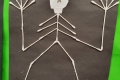 2110-MrCantwell-5th-Cotton-Bud-Skeletons-17