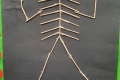 2110-MrCantwell-5th-Cotton-Bud-Skeletons-20