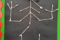 2110-MrCantwell-5th-Cotton-Bud-Skeletons-21