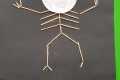 2110-MrCantwell-5th-Cotton-Bud-Skeletons-23