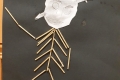 2110-MrCantwell-5th-Cotton-Bud-Skeletons-6