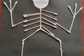 2110-MrCantwell-5th-Cotton-Bud-Skeletons-9