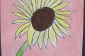 2302-Mr-Coghlan-6th-Sunflowers-1