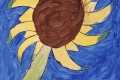 2302-Mr-Coghlan-6th-Sunflowers-10