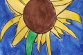 2302-Mr-Coghlan-6th-Sunflowers-14