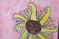 2302-Mr-Coghlan-6th-Sunflowers-17
