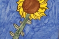 2302-Mr-Coghlan-6th-Sunflowers-2