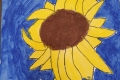 2302-Mr-Coghlan-6th-Sunflowers-21