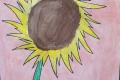 2302-Mr-Coghlan-6th-Sunflowers-5