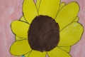 2302-Mr-Coghlan-6th-Sunflowers-7