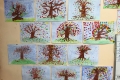 2210-Mr-OSullivan-4th-Native-Tree-Autumn-Art-11