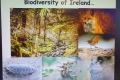 MrR-Biodiversity-Workshop-17123-10