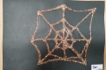 2310-MrR-Spider-Webs-14