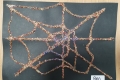 2310-MrR-Spider-Webs-16