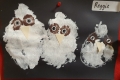 2410-Miss-Palmer-JnrInfs-Owls-1