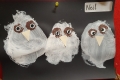 2410-Miss-Palmer-JnrInfs-Owls-12