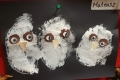 2410-Miss-Palmer-JnrInfs-Owls-8