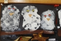 2410-Miss-Whelan-JnrInfs-Owls-1